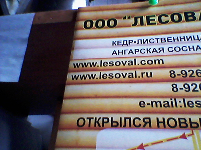 Логотип ООО, Лесовал